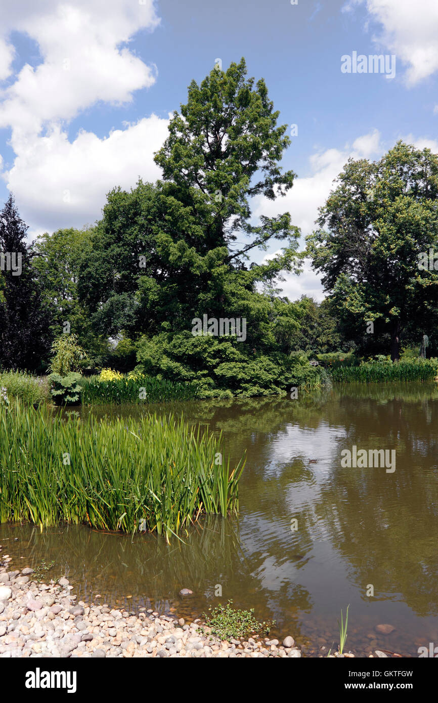 ZIERTEICH IM RHS WISLEY. UK Stockfoto