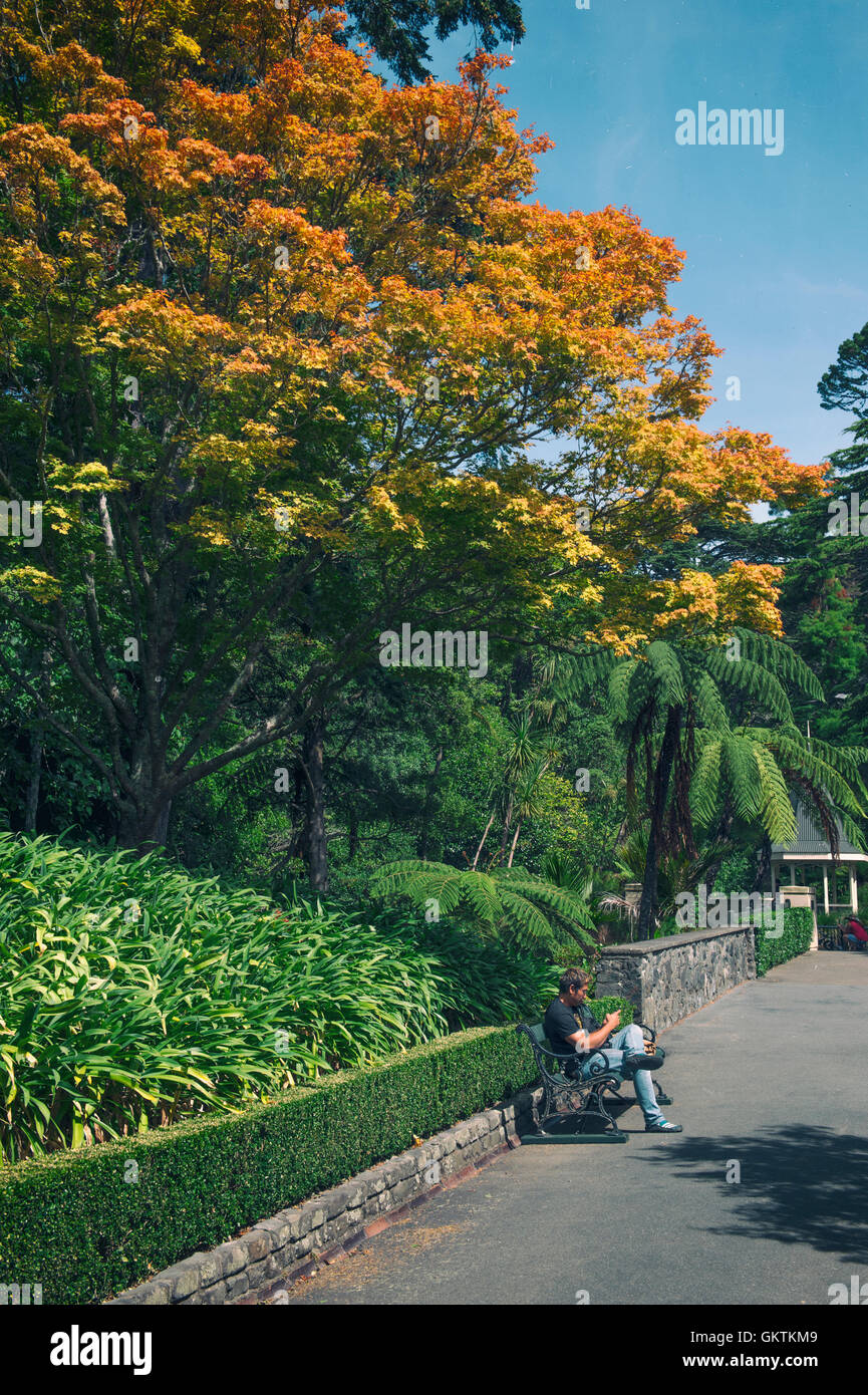 Besucher, die Ruhe im Wellington Botanic Garden, der größte öffentliche Park in der Stadt Stockfoto
