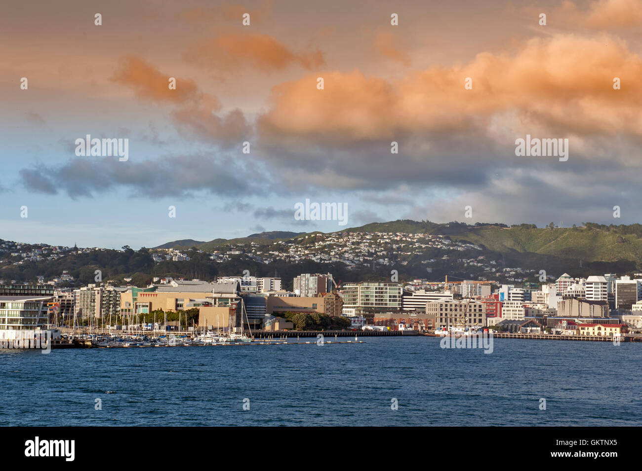 Wellington Hafen CBD, Nordinsel von Neuseeland Stockfoto