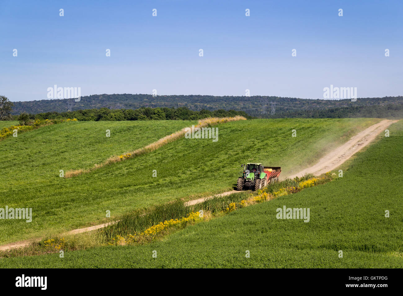 Landwirtschaft Traktor Maschinen Düngerstreuer Stockfoto