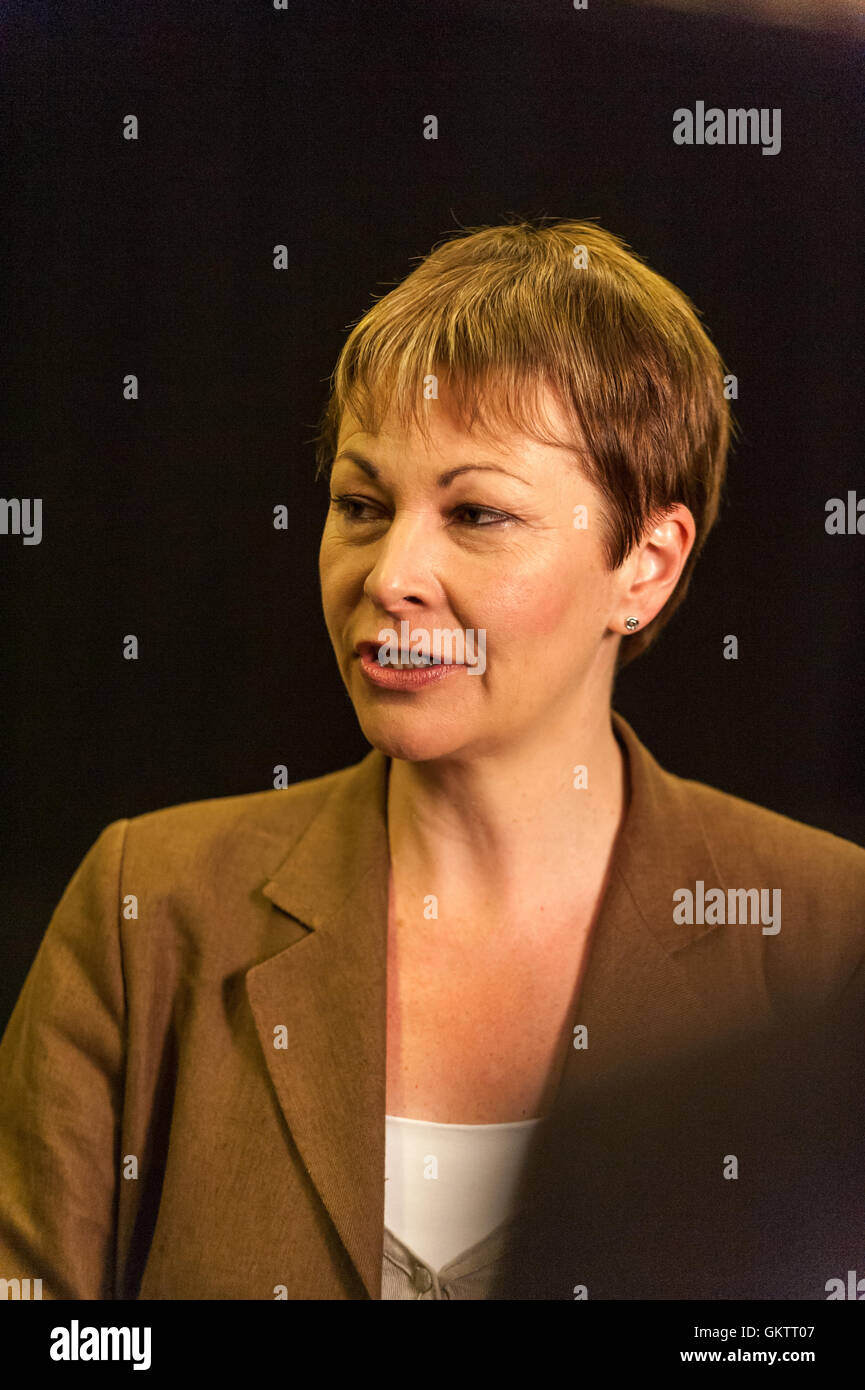Caroline Lucas MP, in der Nacht, die sie dem Parlament die erste grüne Partei MP dazu gewählt wurde. Stockfoto
