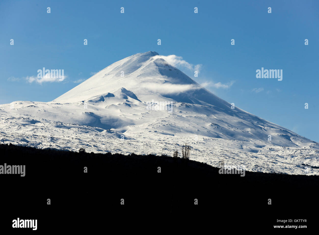 Volcan LLaima, Region De La Araucania. Vulkan LLaima, Araucania Region. Patagonien, Chile. Stockfoto