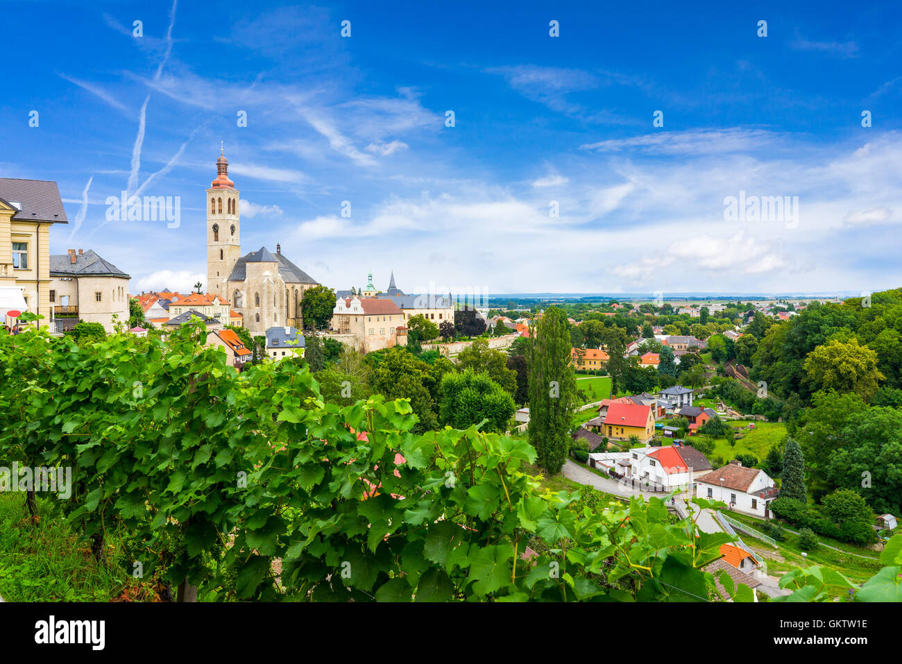 Mit Blick auf einen Weinberg und die Stadt in Kutna Hora-Tschechische Republik Stockfoto