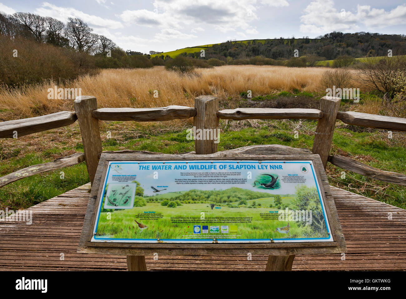Slapton Ley; Nationalen Naturschutzgebiet; Devon; UK Stockfoto