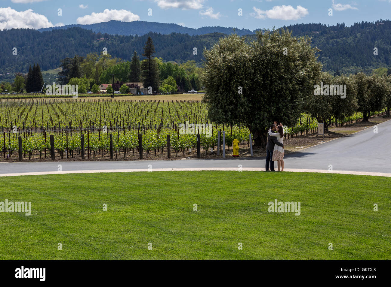 Leute, Paar, Touristen, selfie Foto, Besuch, Opus One Winery, Oakville, Napa Valley, Napa County, Kalifornien, USA, Nordamerika Stockfoto