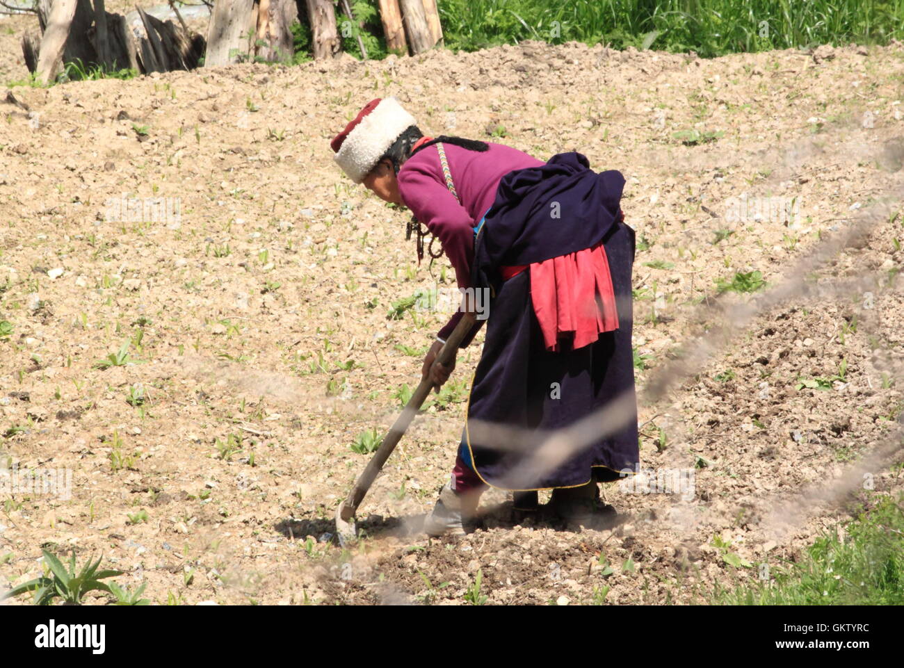 Dame in tibetischen Kostüm im landwirtschaftlichen Bereich in Jiuzhaigou Dorf in China Stockfoto