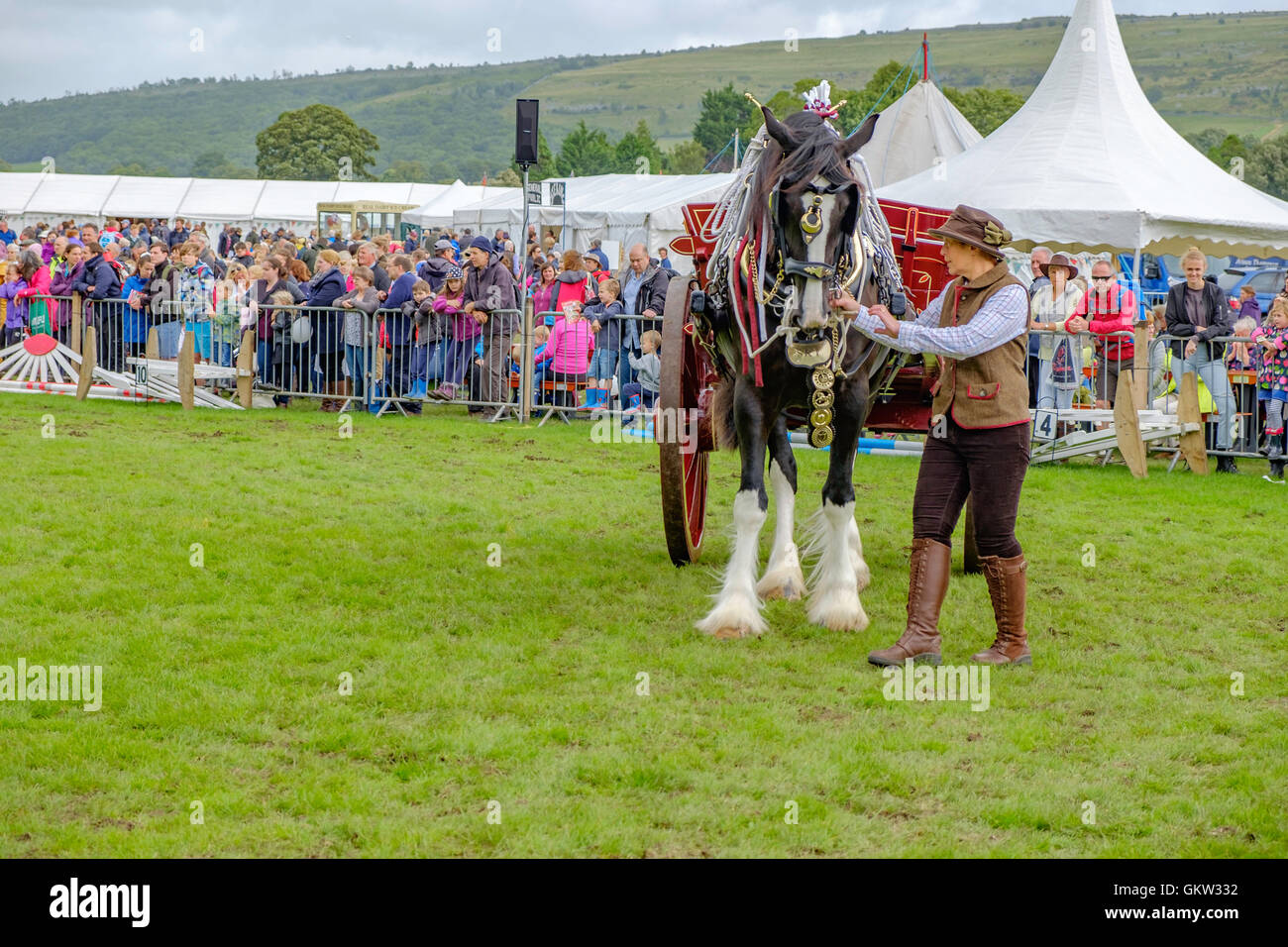 Baden-Baden-Show 2016 Stockfoto