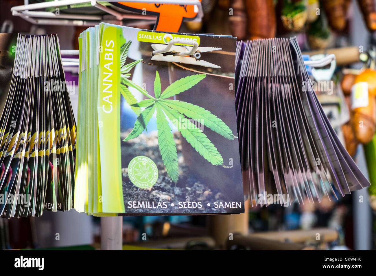 Cannabissamen -Fotos und -Bildmaterial in hoher Auflösung – Alamy