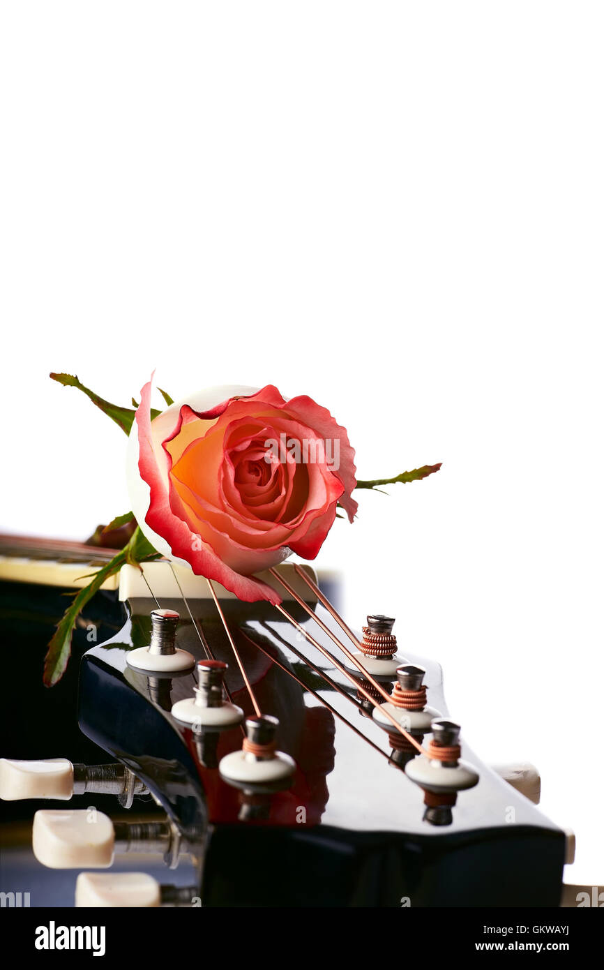 Gitarre und rote Rose. Stockfoto