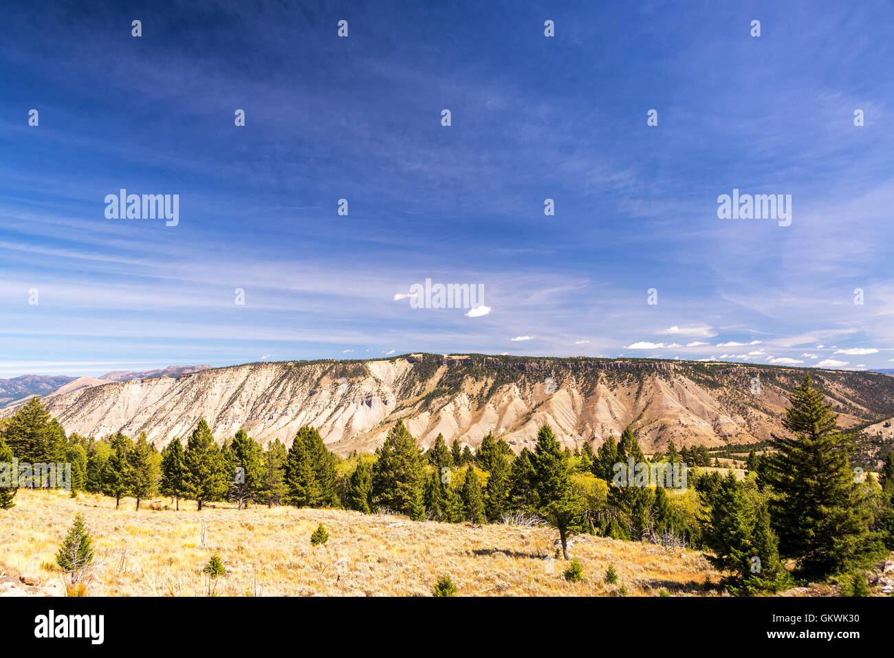 Schöne Landschaft in der Nähe von Mammoth Hot Springs im Yellowstone-Nationalpark Stockfoto