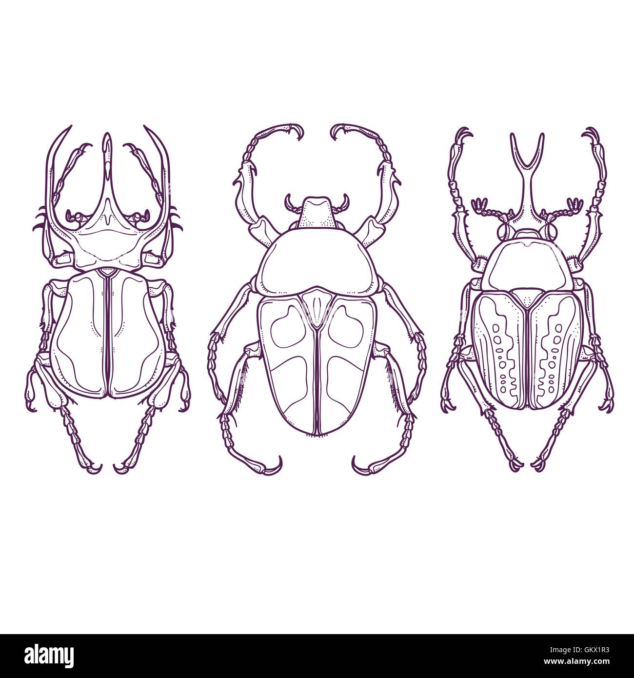 Vektor-Illustration von Insekten wie Gliederung von Hand gezeichnet. Satz von 3 Beetle Bugs Draufsicht Stock Vektor