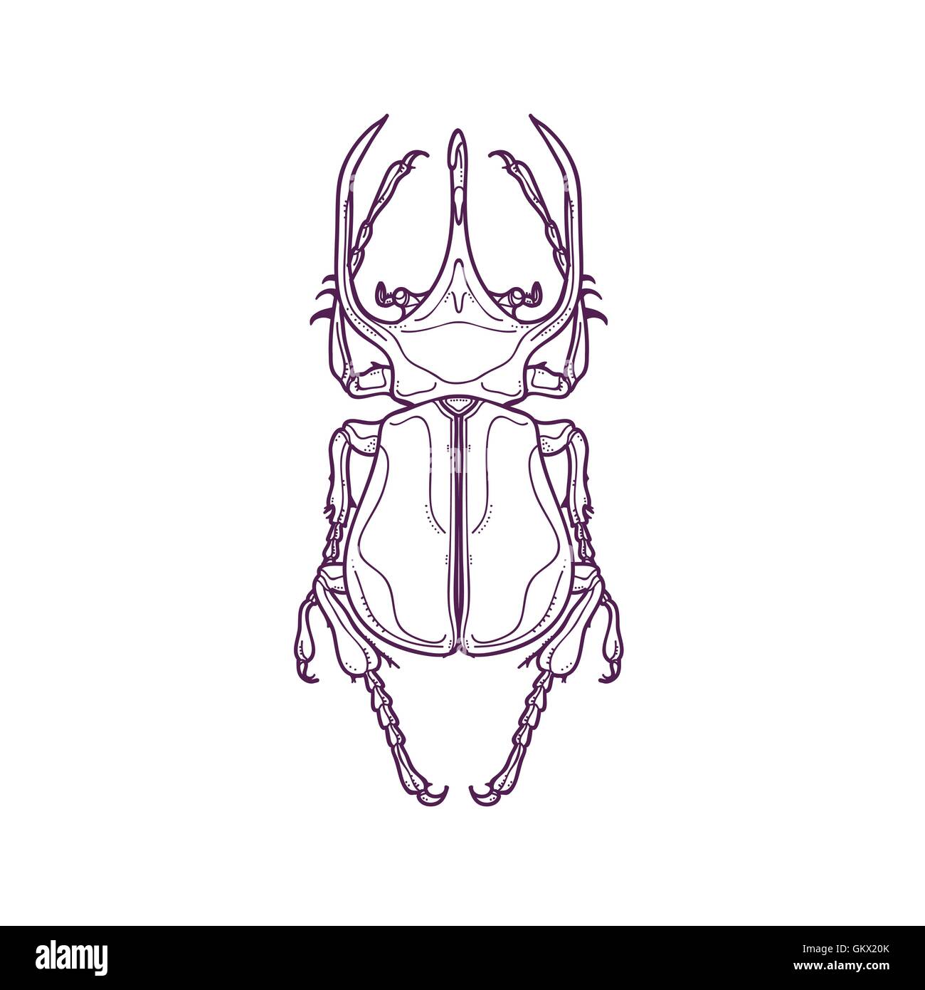 Vektor-Illustration der Gliederung Big Horn Beetle Bug Insekten wie von Hand gezeichnet, Chalcosoma Atlas Stock Vektor