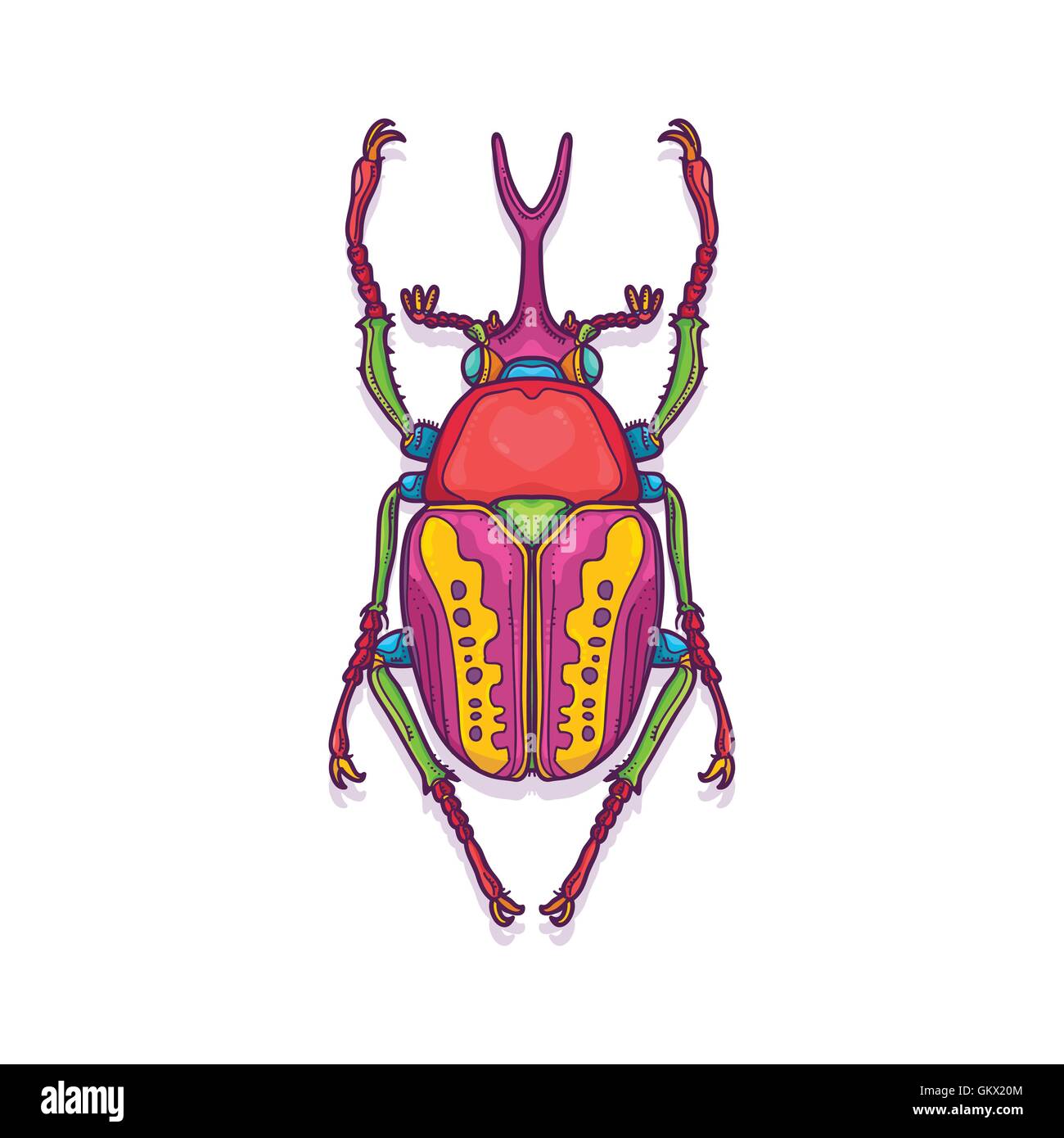 Vektor Illustration der bunten Skarabäus Beetle Bug Insekt Hand gezeichnet, Megalorrhina Harrisi procera Stock Vektor