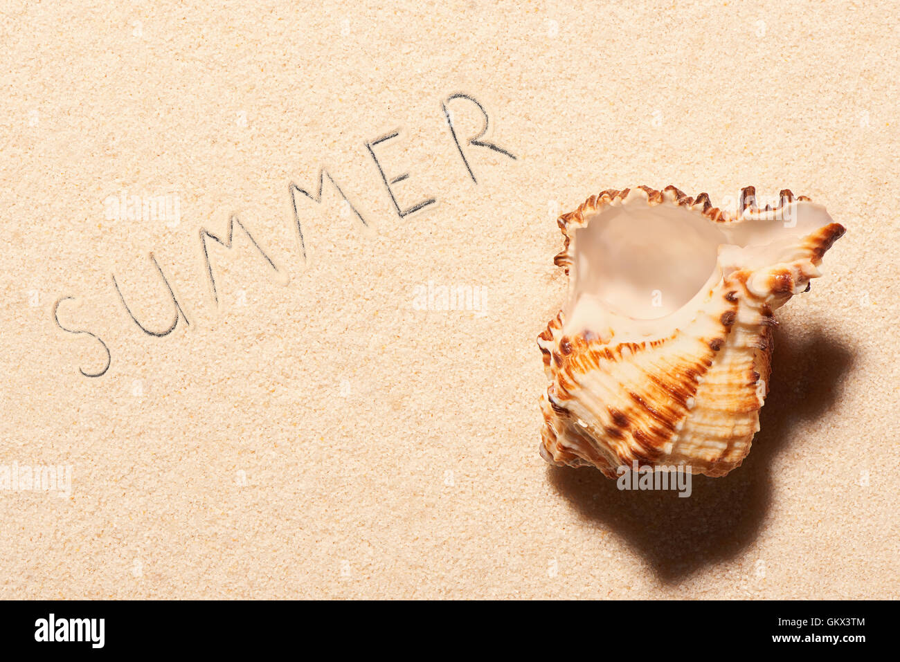 Leere Muschel und Sommer Schriftzug auf Sand gezeichnet. Sommer Strand Hintergrund. Ansicht von oben Stockfoto