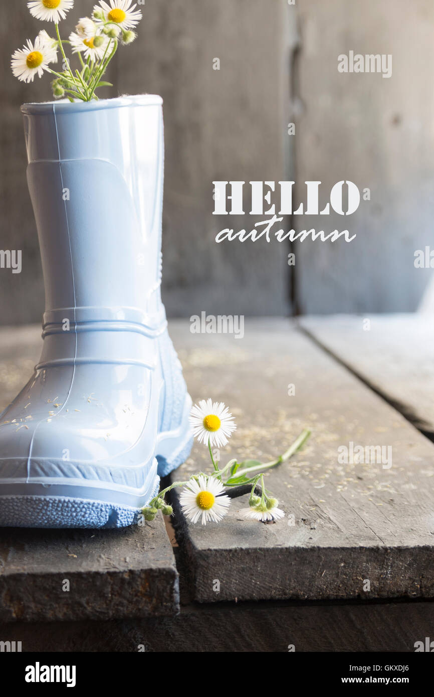 Hallo Herbst, schöne Blumen und Stiefel auf einem Vintage Tisch, Stockfoto