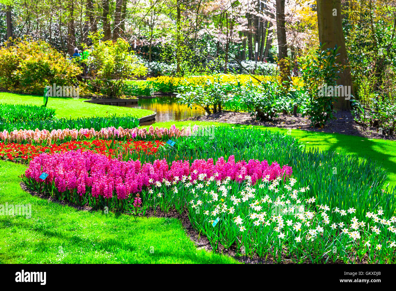 Schöner Garten im Keukenhof Park, Holland Stockfoto