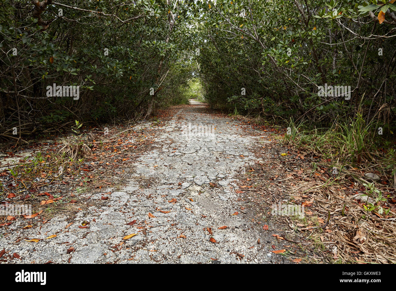 Reste der ursprünglichen US-1 in den Florida Keys Stockfoto