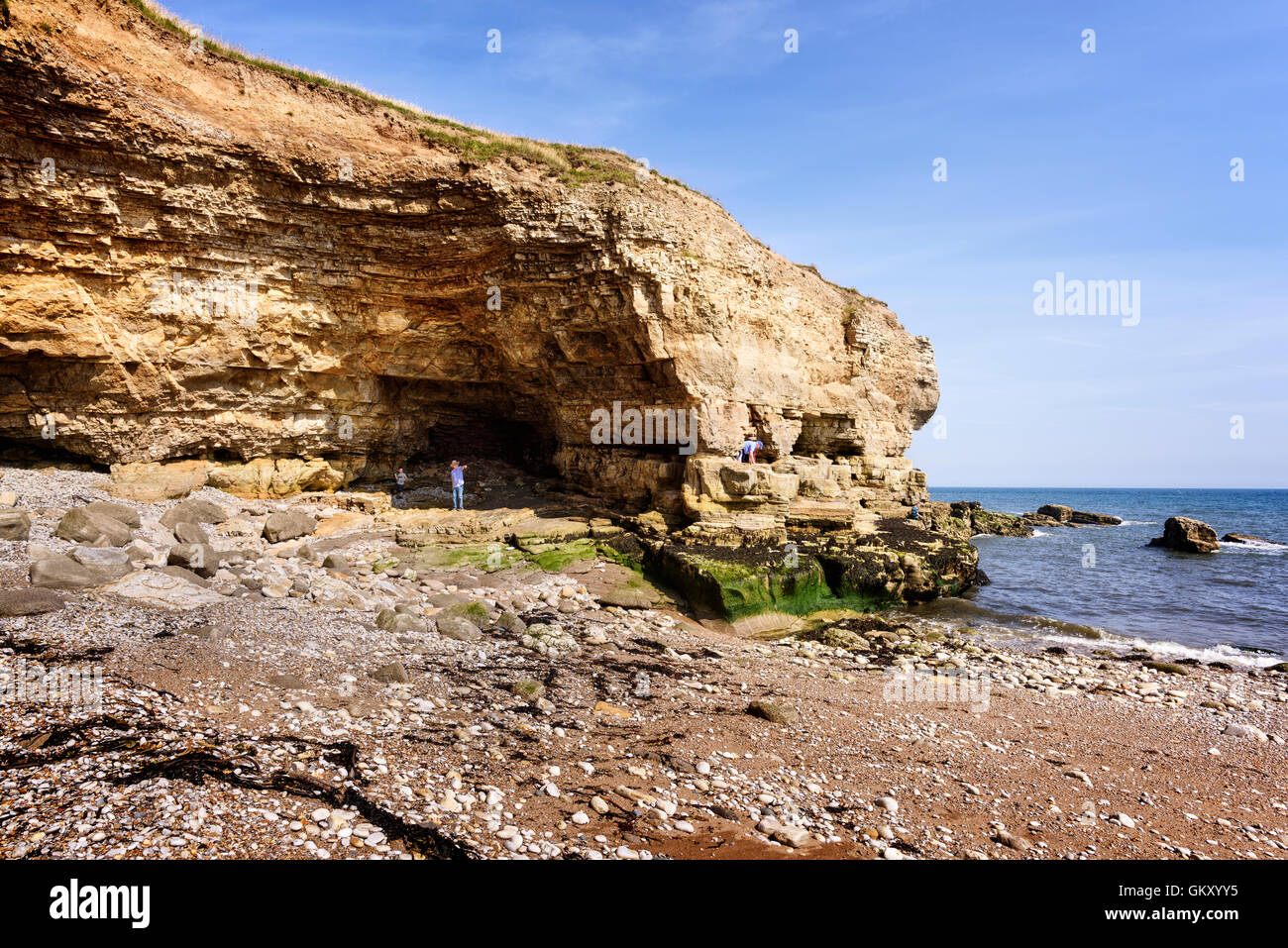 Die Wherry, Whitburn Stockfoto