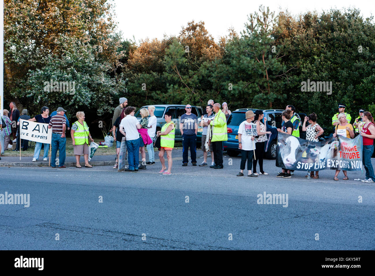 "Demonstranten Verbot live Ausfuhren" stehen auf der Seite der Hauptstraße in Ramsgate während der friedlichen Demonstration gegen den Export von Tieren aus der Stadt. Einige Plakate. Stockfoto