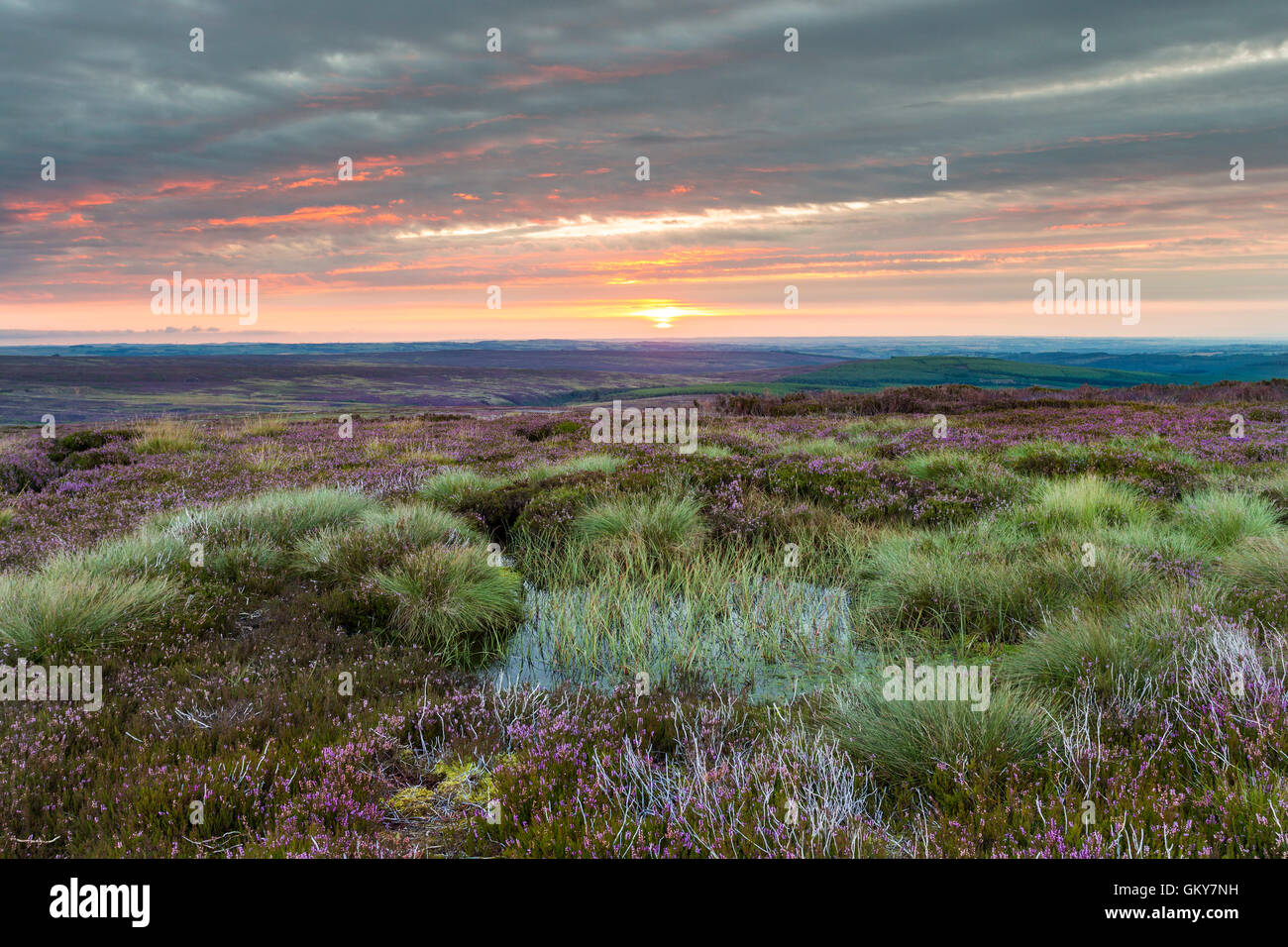 Teesdale, County Durham UK. Mittwoch, 24. August 2016.  Großbritannien Wetter.  Es war ein bunter Start in den Tag im Norden Englands als frühe Nebel und Wolken über der Pennines fing an klar.  Heute Abend ist die Prognose für ein weiterer heißer Tag mit der Möglichkeit, einige vereinzelte gewittrige Schauer. Bildnachweis: David Forster/Alamy Live-Nachrichten Stockfoto