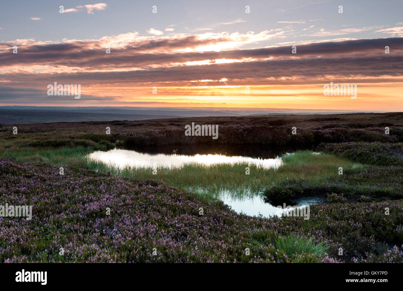 Teesdale, County Durham UK. Mittwoch, 24. August 2016.  Großbritannien Wetter.  Es war ein bunter Start in den Tag im Norden Englands als frühe Nebel und Wolken über der Pennines fing an klar.  Heute Abend ist die Prognose für ein weiterer heißer Tag mit der Möglichkeit, einige vereinzelte gewittrige Schauer. Bildnachweis: David Forster/Alamy Live-Nachrichten Stockfoto
