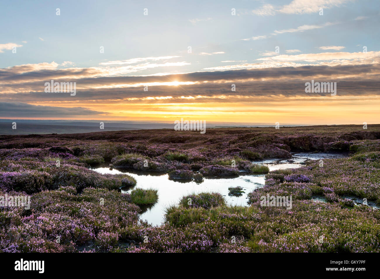 Teesdale, County Durham UK. Mittwoch, 24. August 2016.  Großbritannien Wetter.  Es war ein bunter Start in den Tag im Norden Englands als frühe Nebel und Wolken über der Pennines fing an klar.  Heute Abend ist die Prognose für ein weiterer heißer Tag mit der Möglichkeit, einige vereinzelte gewittrige Schauer. Bildnachweis: David Forster/Alamy Live-Nachrichten Stockfoto