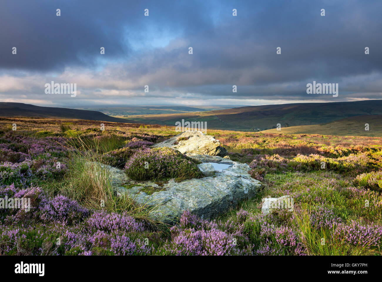 Teesdale, County Durham UK. Mittwoch, 24. August 2016.  Großbritannien Wetter.  Es war ein bunter Start in den Tag im Norden Englands als frühe Nebel und Wolken über der Pennines fing an klar.  Heute Abend ist die Prognose für ein weiterer heißer Tag mit der Möglichkeit, einige vereinzelte gewittrige Schauer. Bildnachweis: David Forster/Alamy Live-Nachrichten Stockfoto