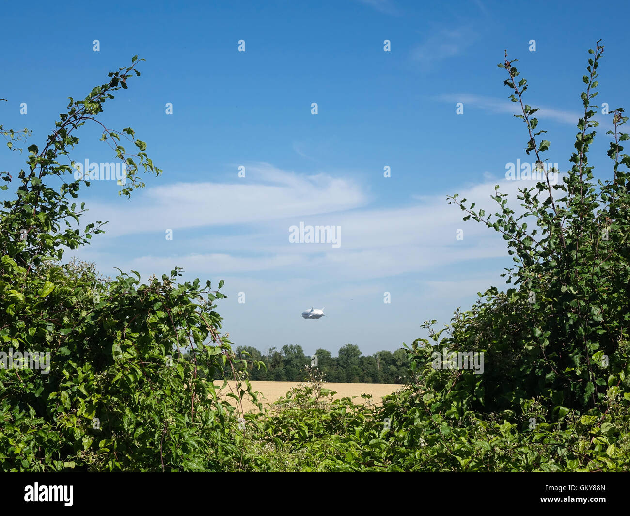 Bedfordshire, UK. 24. August 2016, Flüge The Hybrid Air Fahrzeuge (HAV) Airlander 10 im Test über die Bedfordshire und Hertfordshire Landschaft. Ausziehen aus der historischen RAF Cardington Hangars ist ein breit-geschältes Luftschiff mit zusätzlichen Flügel und Leitwerke, er fliegt mit aerostatischen und aerodynamischen Auftrieb. Angetrieben von vier Diesel-Motor angetrieben kanalisierten Propeller, ist es das größte heute fliegende Flugzeug.  Innerhalb der nächsten Stunde hatte dieses Flugzeug Absturz landete an der Talstation, einige Schäden an das Cockpit. Bildnachweis: Mick Flynn/Alamy Live-Nachrichten Stockfoto