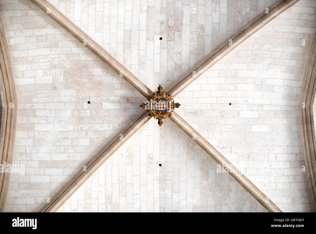 Alte gewölbte Ziegel Decke oder Dach auf einem alten historischen Gebäude Stockfoto