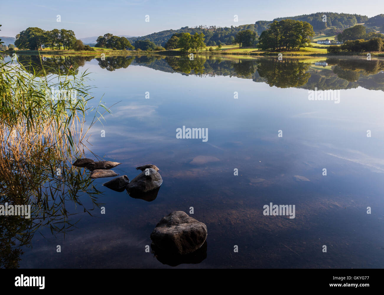 Reflexionen über Esthwaite Wasser, in der Nähe in der Nähe von Sawrey, Lake District, Cumbria Stockfoto