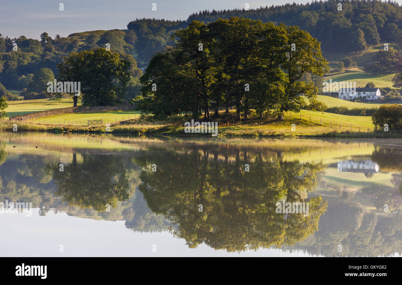 Reflexionen über Esthwaite Wasser, in der Nähe in der Nähe von Sawrey, Lake District, Cumbria Stockfoto