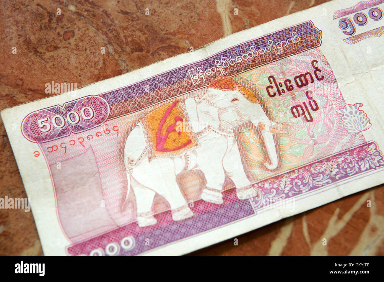 Ein weißer Elefant auf einem burmesischen 5000 Kyat Rechnung. Der Kyat ist die gesetzliche Währung in Myanmar (Burma). Stockfoto