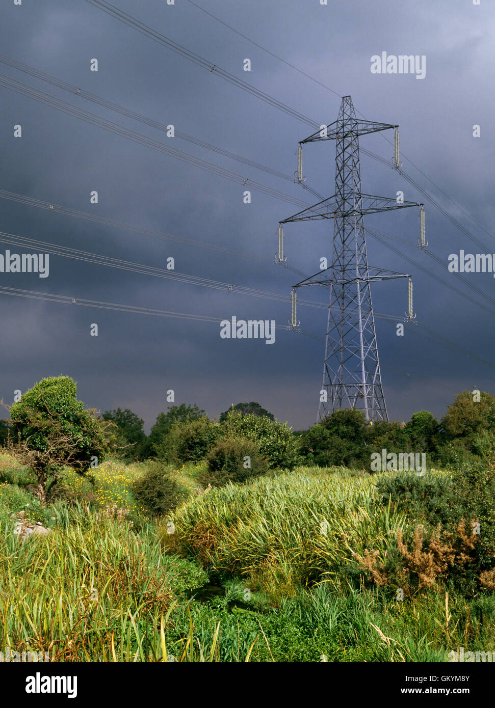 Ein sonnendurchflutetes Pylon und Strom Leitungen zeichnen sich stark gegen Gewitterhimmel über grobe Ackerland und sumpfigen Gestrüpp, Gwynedd, North Wales, UK Stockfoto
