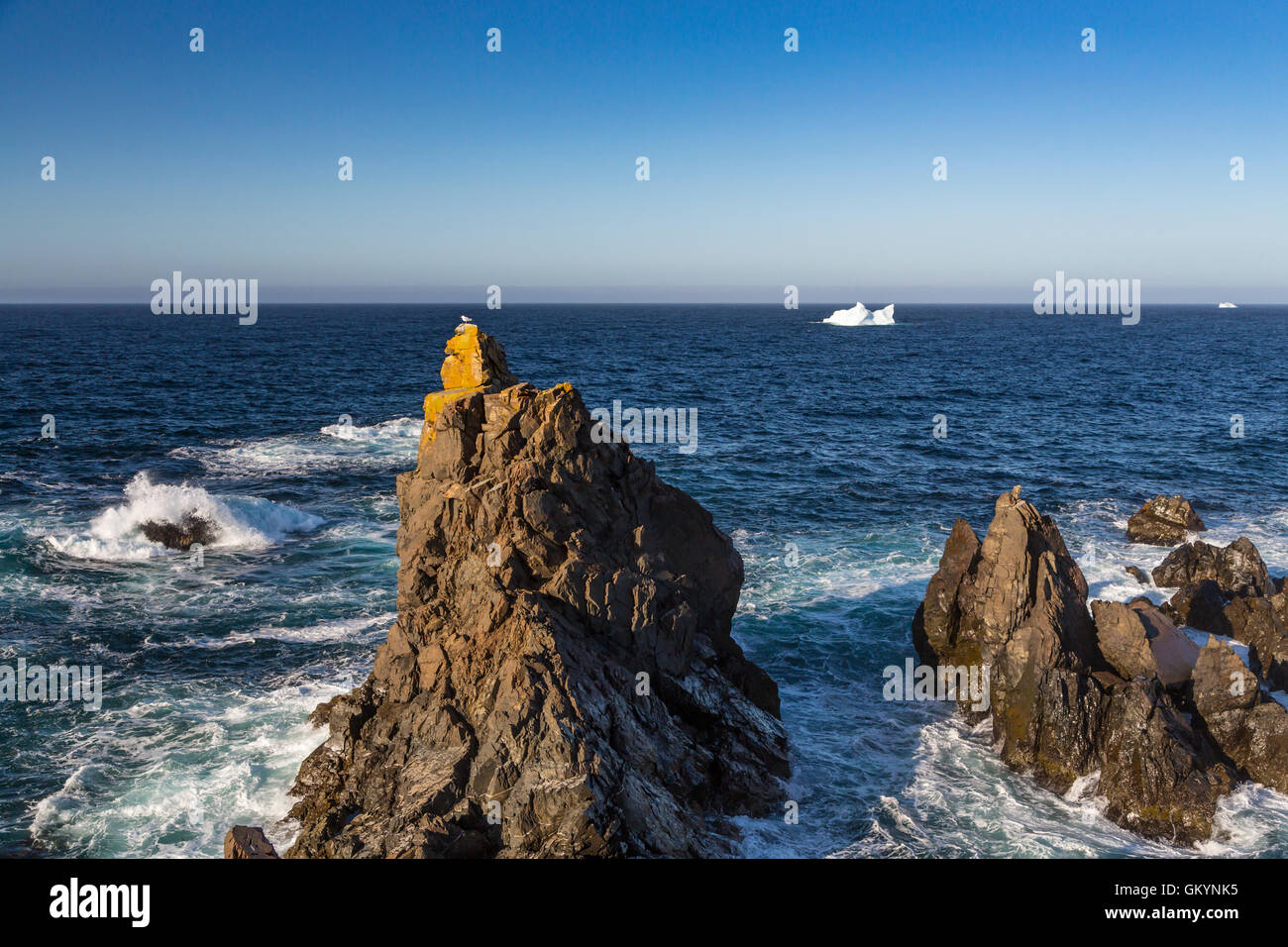 Die zerklüftete Küste von Cape Bonavista in Neufundland und Labrador, Kanada. Stockfoto