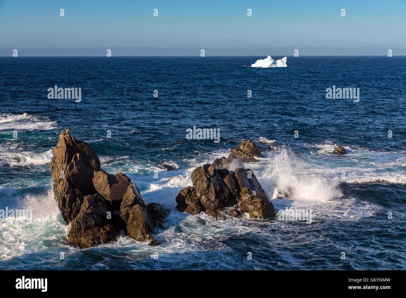 Die zerklüftete Küste von Cape Bonavista in Neufundland und Labrador, Kanada. Stockfoto