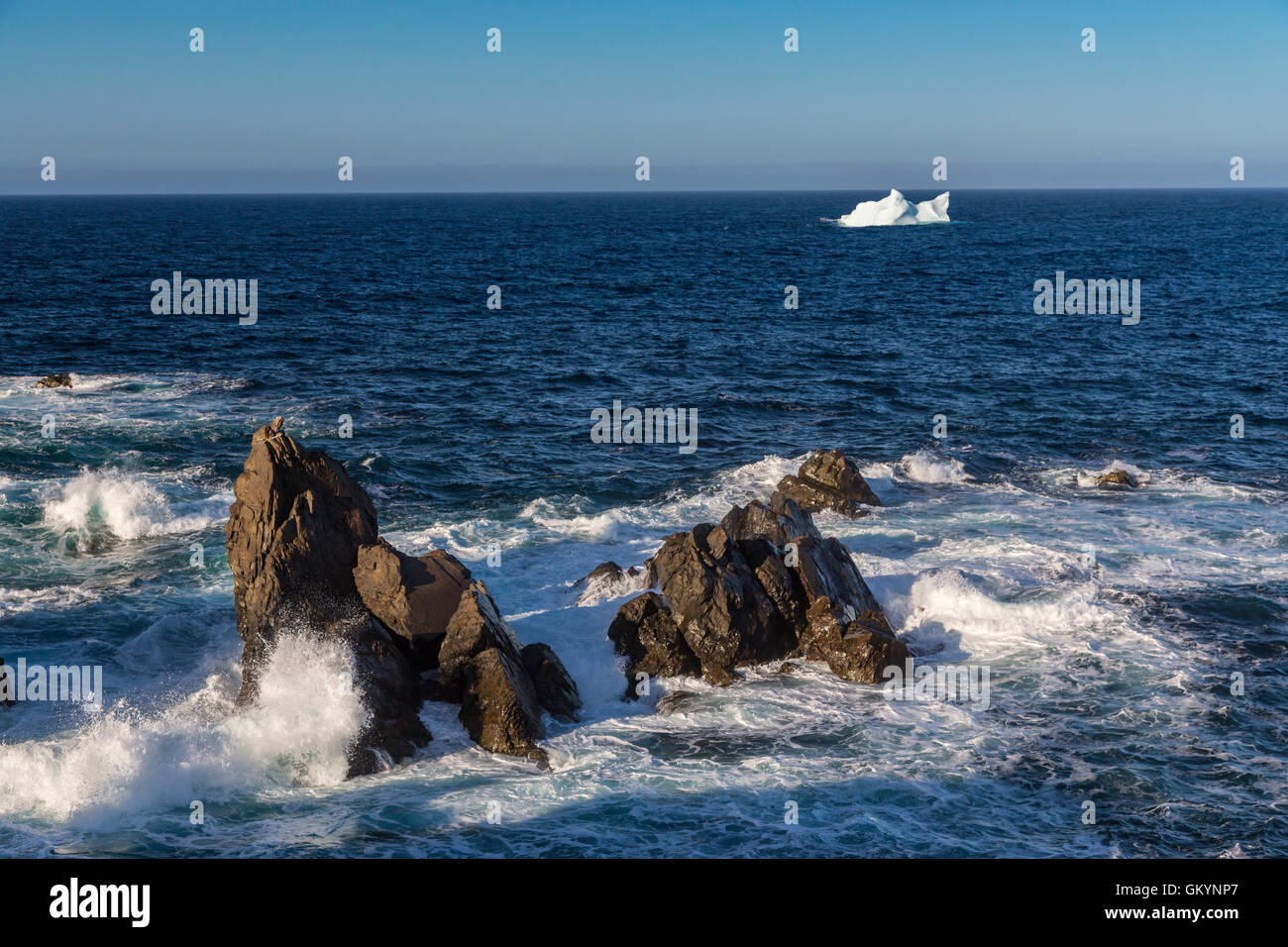 Die zerklüftete Küste von Cape Bonavista in Neufundland und Labrador, Kanada. Stockfoto