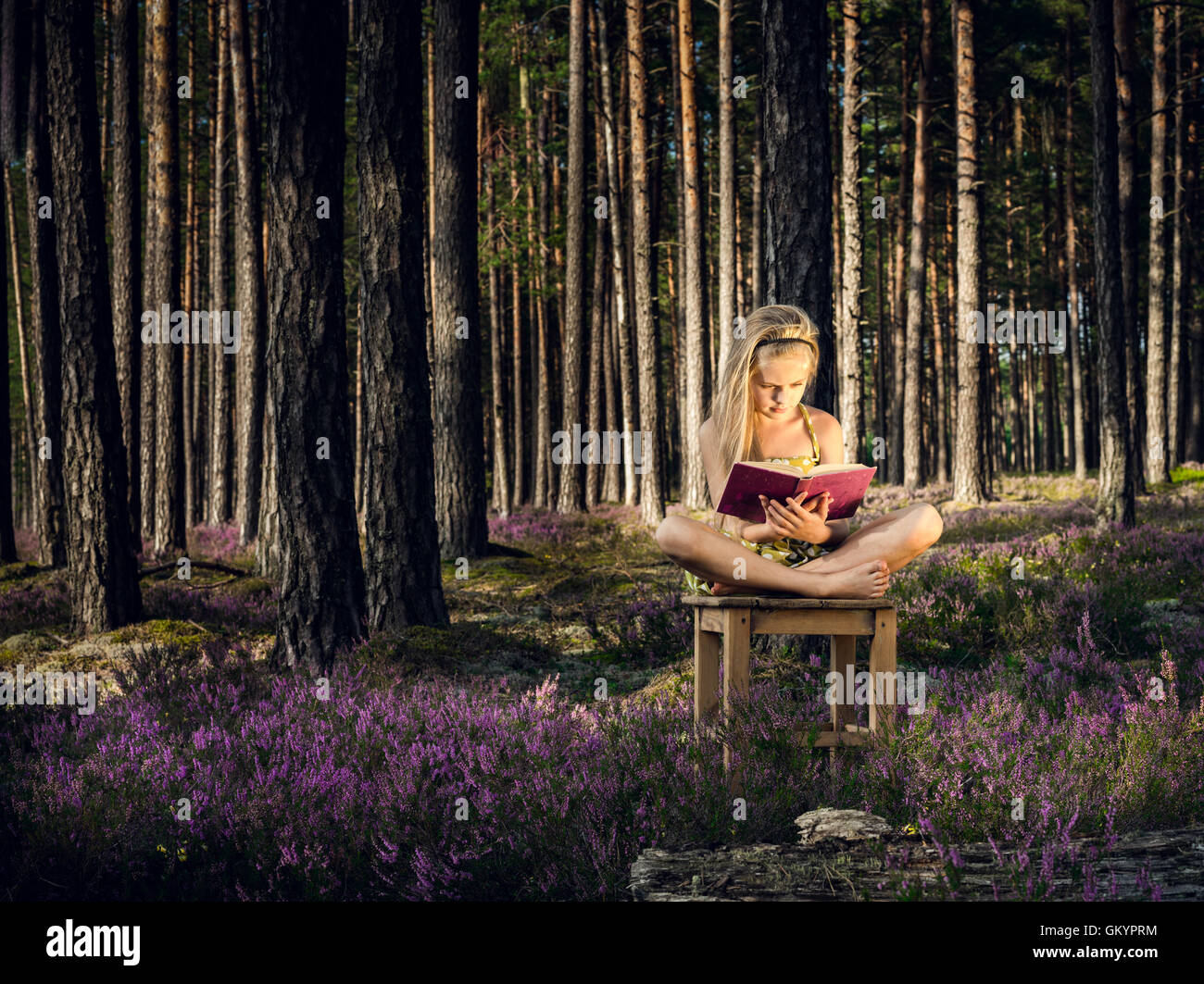 Schöne blonde Mädchen sitzen auf einem Stuhl und Lesebuch im Wald. Stockfoto