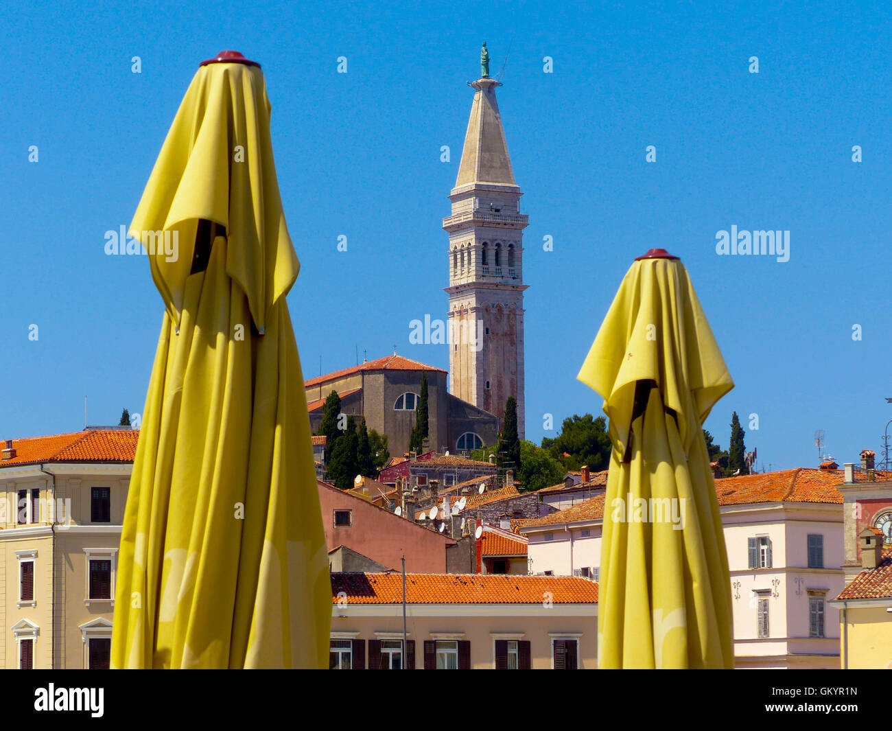 Rovinj, Kroatien, Blick auf Rovinj, Baumkrone, Fernsehantennen, Turm Stockfoto