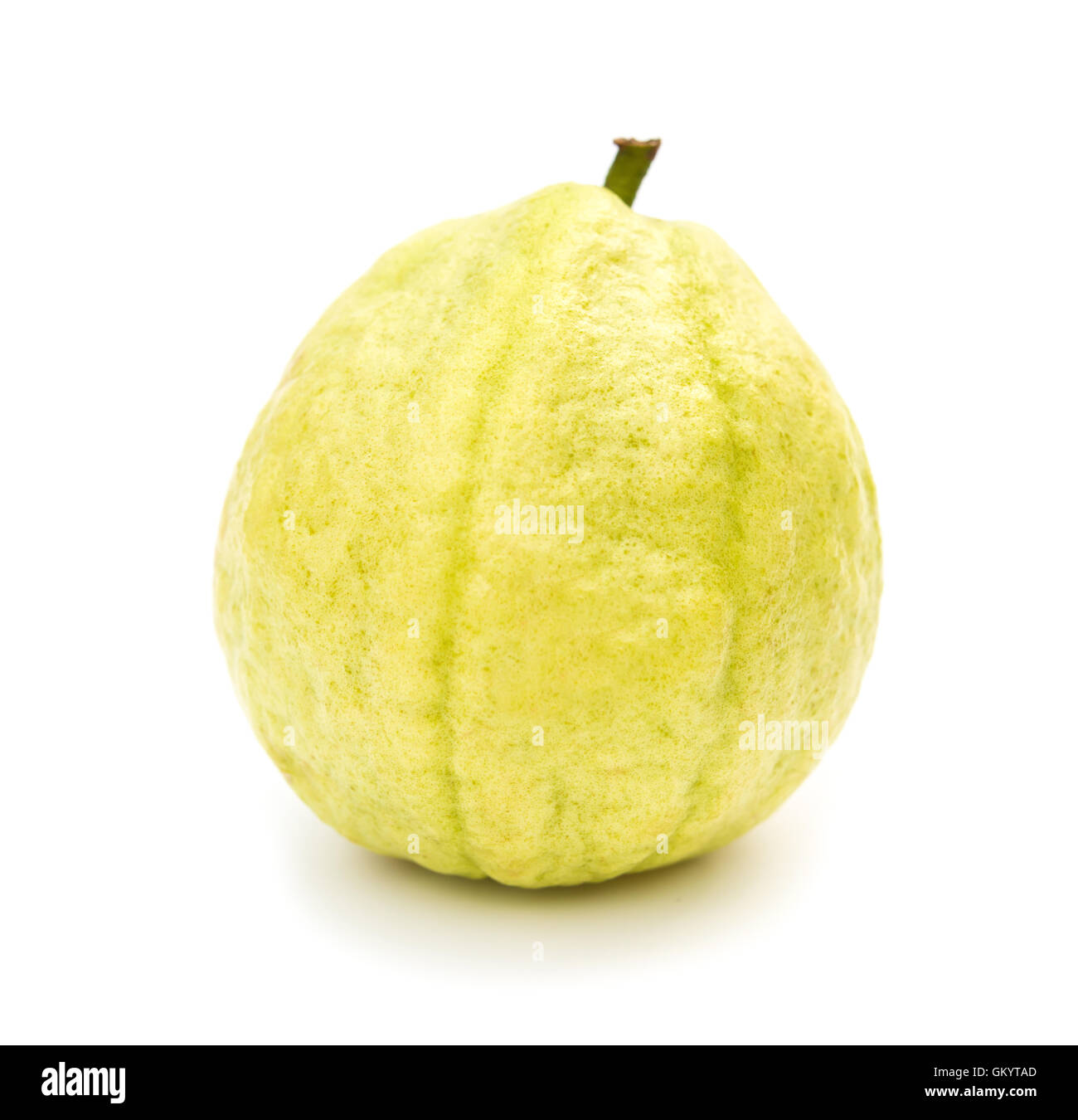 frische Guave Guajava auf weißem Hintergrund Stockfoto