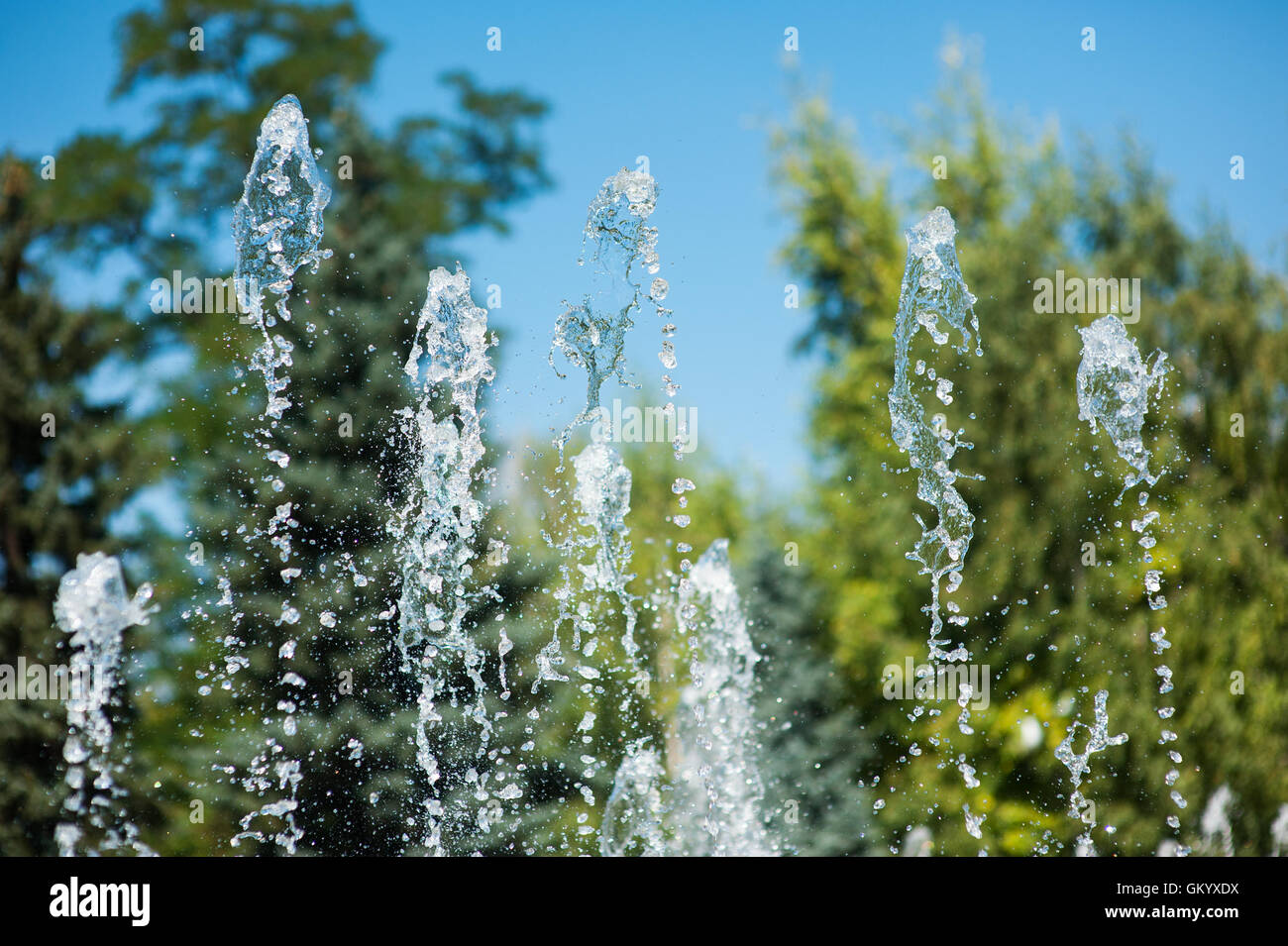 Wasser-Brunnen im Hintergrund der Bäume im park Stockfoto