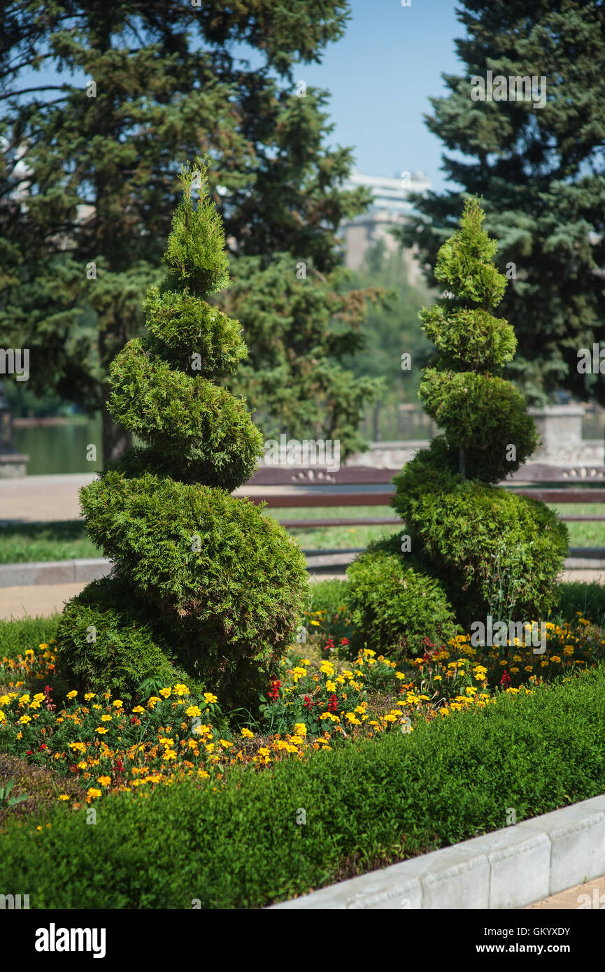 schöne Dekoration Bäume und Pflanzen im park Stockfoto