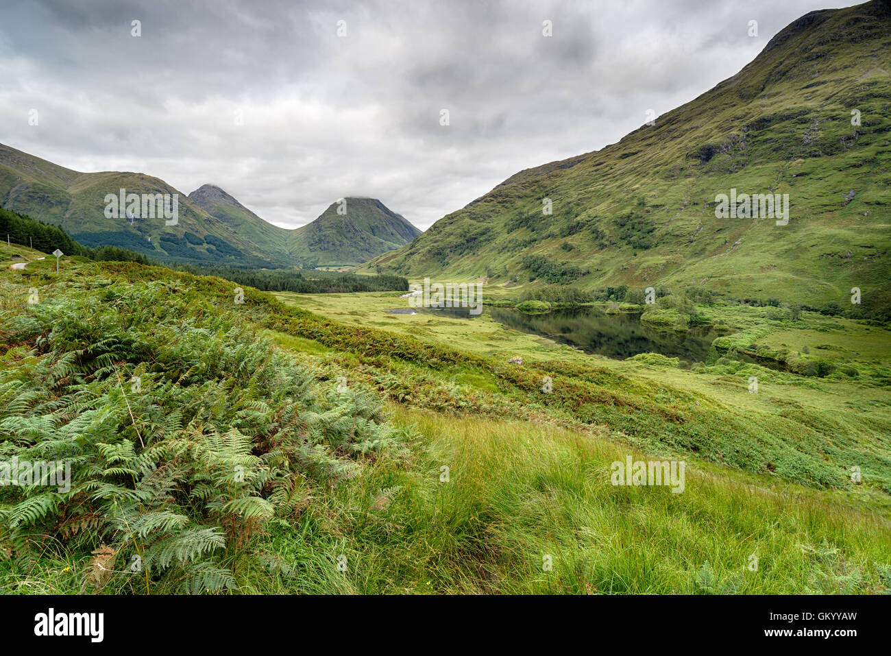 Lebendige grüne Berge und Tal am Glen Etive in den schottischen Highlands Stockfoto