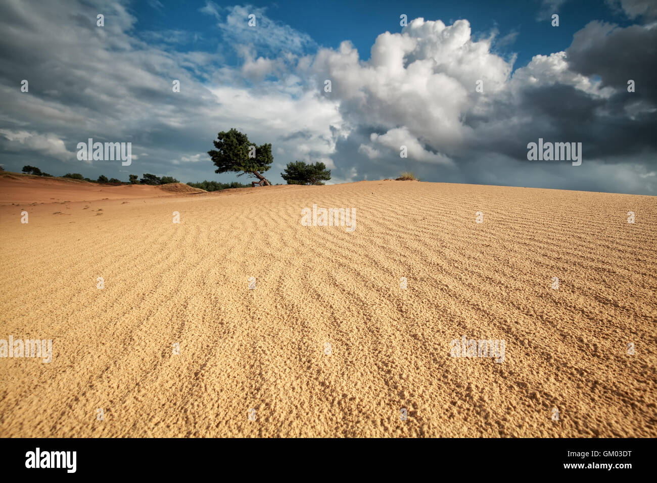 Sand Welle Textur auf Düne und schönen Himmel, Niederlande Stockfoto