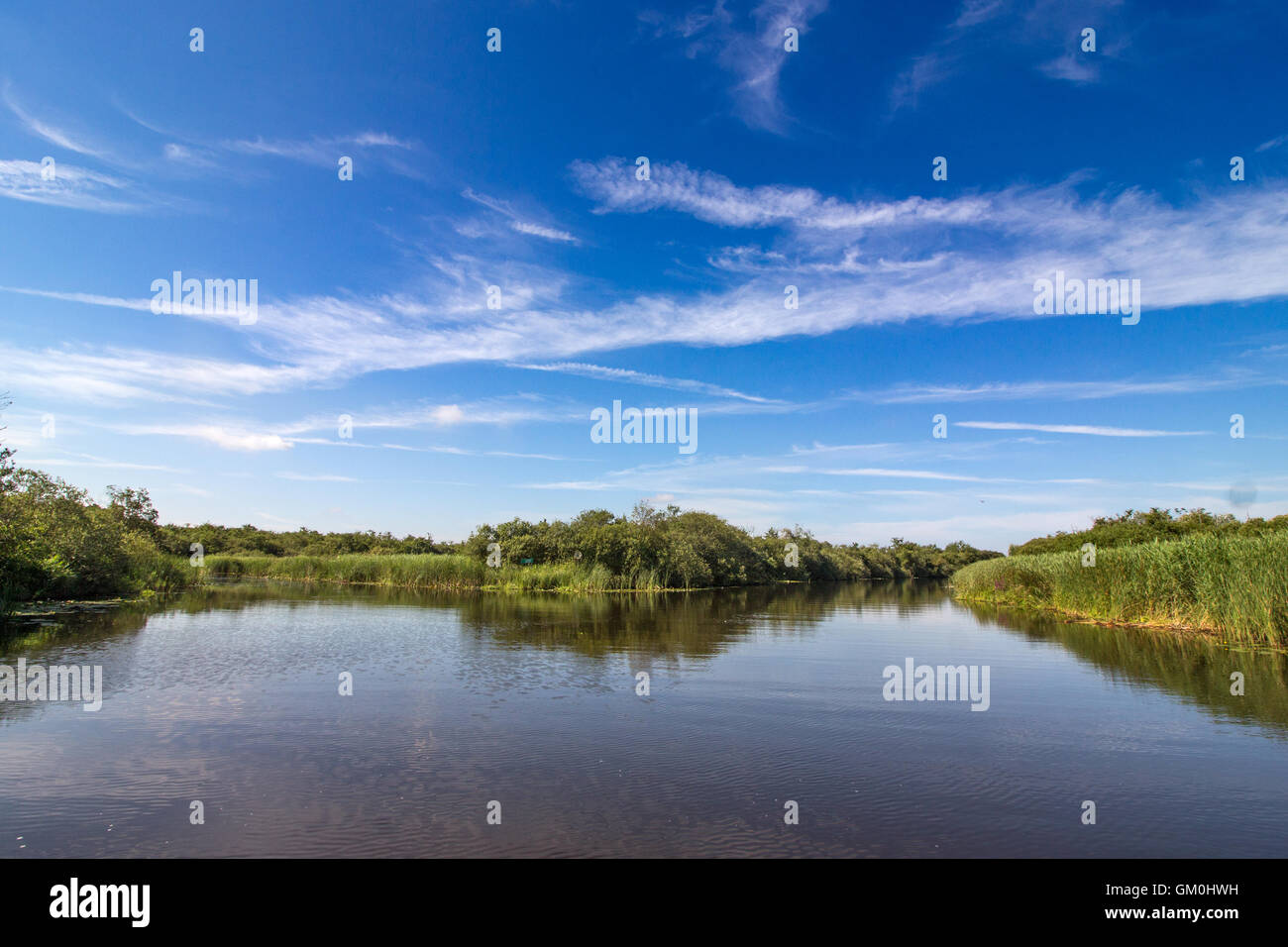 Der Fluss Ameise auf den Norfolk Broads in Norfolk, an einem sonnigen Tag Stockfoto