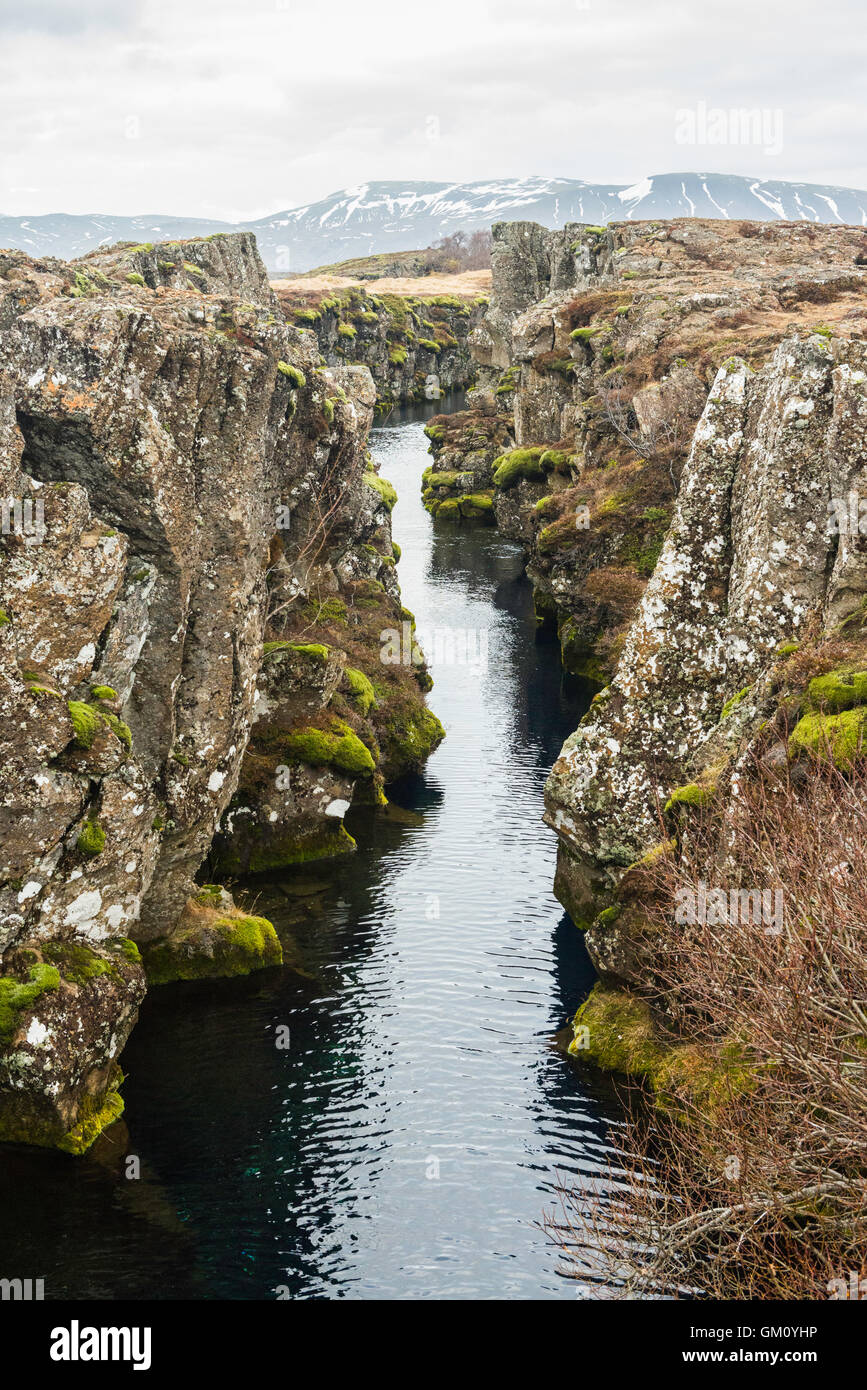 Flosagjá Canyon in Þingvellir Nationalpark Island, ist ein Riss oder ein Fehler zwischen der nordamerikanischen und Eurasion Kontinentalplatte. Stockfoto
