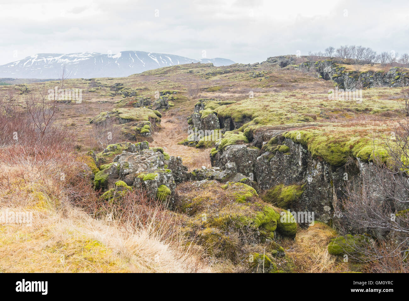 Flosagjá Canyon in Þingvellir Nationalpark Island, ist ein Riss oder