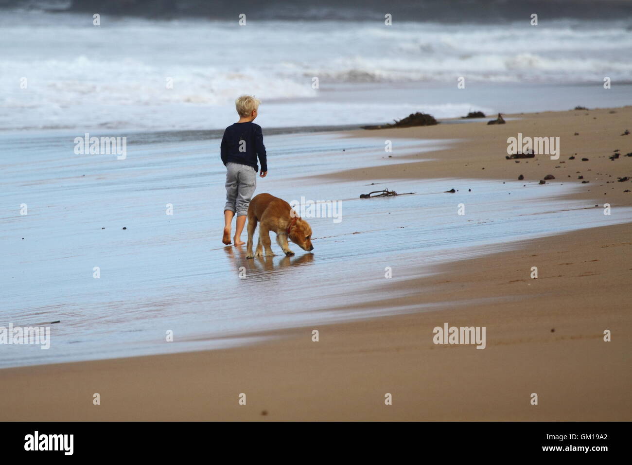 Eine blonde behaarte junge unter 10 Jahre alt mit seinem Hund am Strand spazieren. Stockfoto