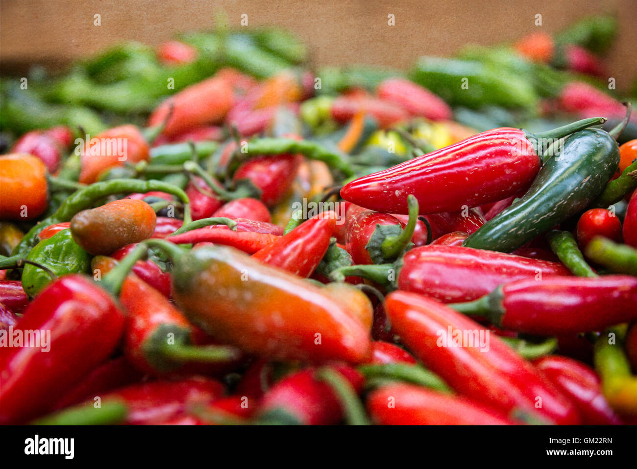 Haufen von frischen Peperoni auf dem Display auf dem Bauernmarkt Herbst Erntezeit Stockfoto