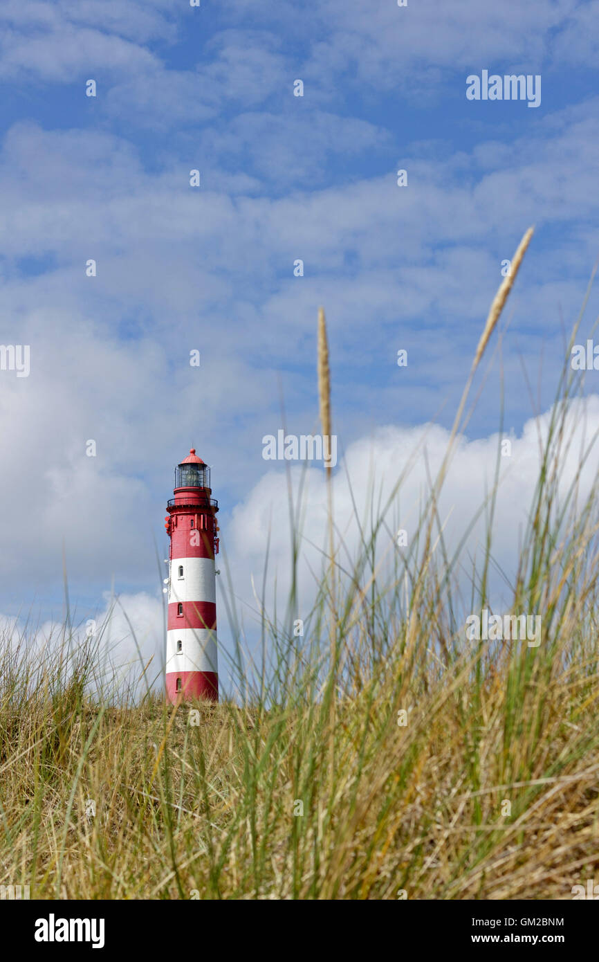 Dünen, Leuchtturm, Insel Amrum, Nordfriesland, Schleswig-Holstein, Deutschland Stockfoto