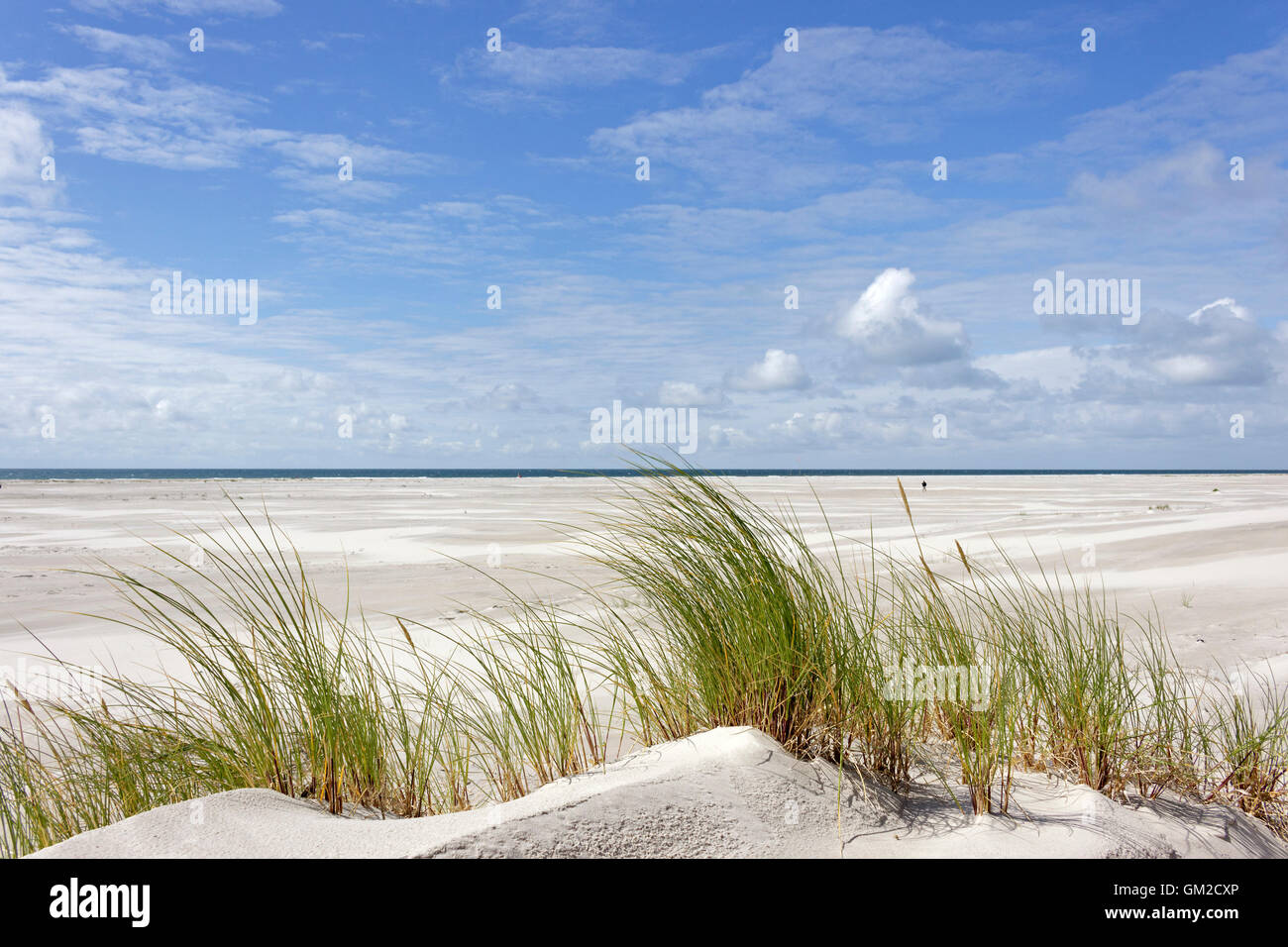 Kniepsands Strand, Insel Amrum, Nordfriesland, Schleswig-Holstein, Deutschland Stockfoto